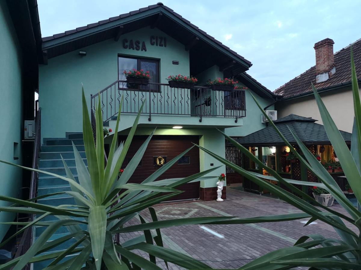 Casa Cizi Hotel Calimanesti Exterior photo