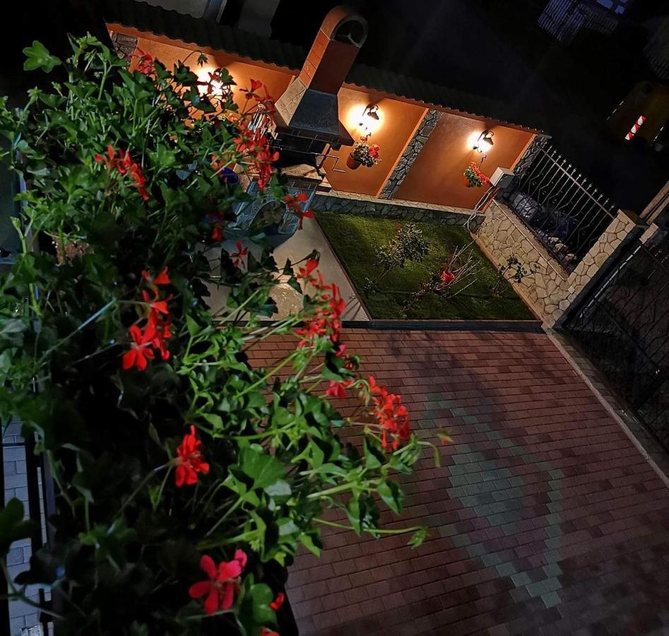 Casa Cizi Hotel Calimanesti Exterior photo