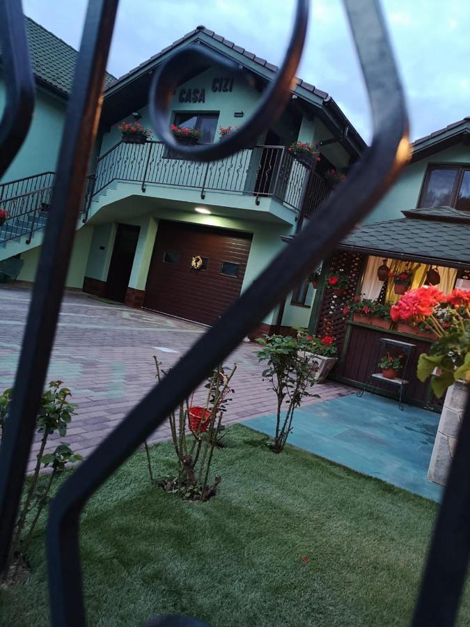 Casa Cizi Hotel Calimanesti Exterior photo