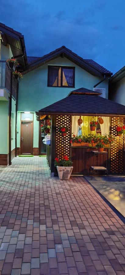 Casa Cizi Hotel Calimanesti Exterior photo