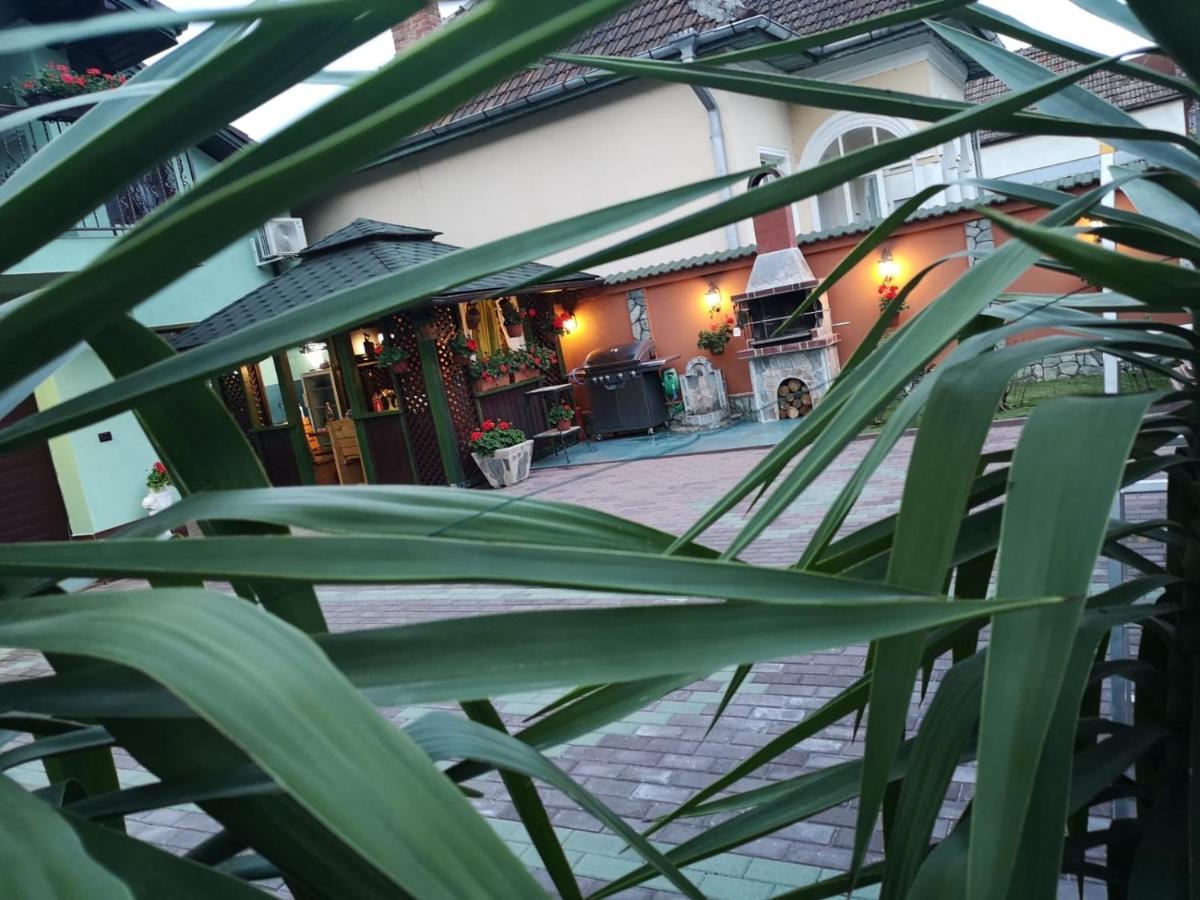 Casa Cizi Hotel Calimanesti Exterior photo