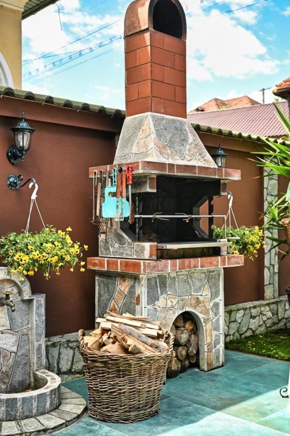 Casa Cizi Hotel Calimanesti Exterior photo