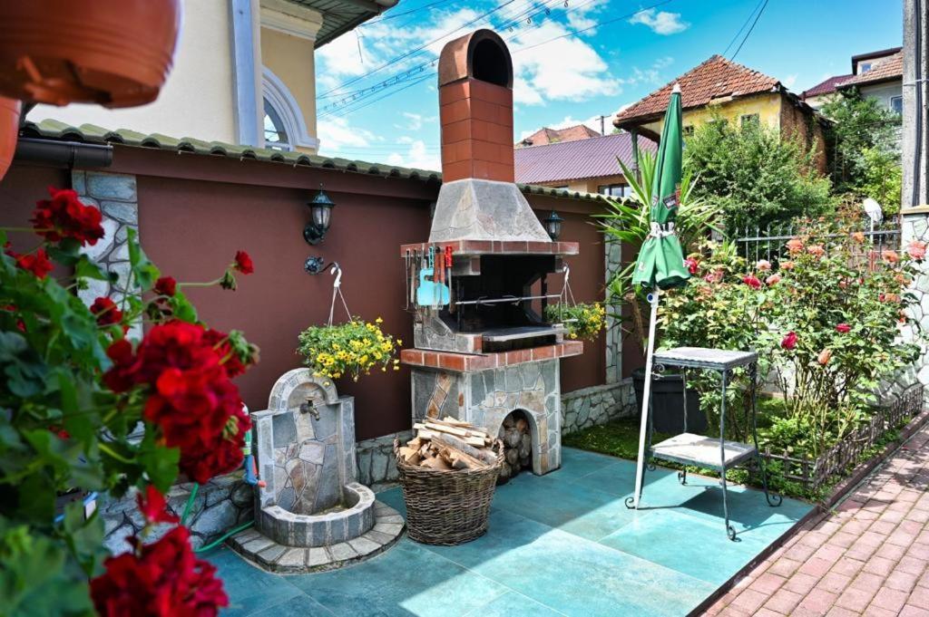 Casa Cizi Hotel Calimanesti Exterior photo